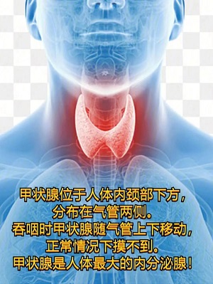 【健康科普】甲状腺癌你知多少？