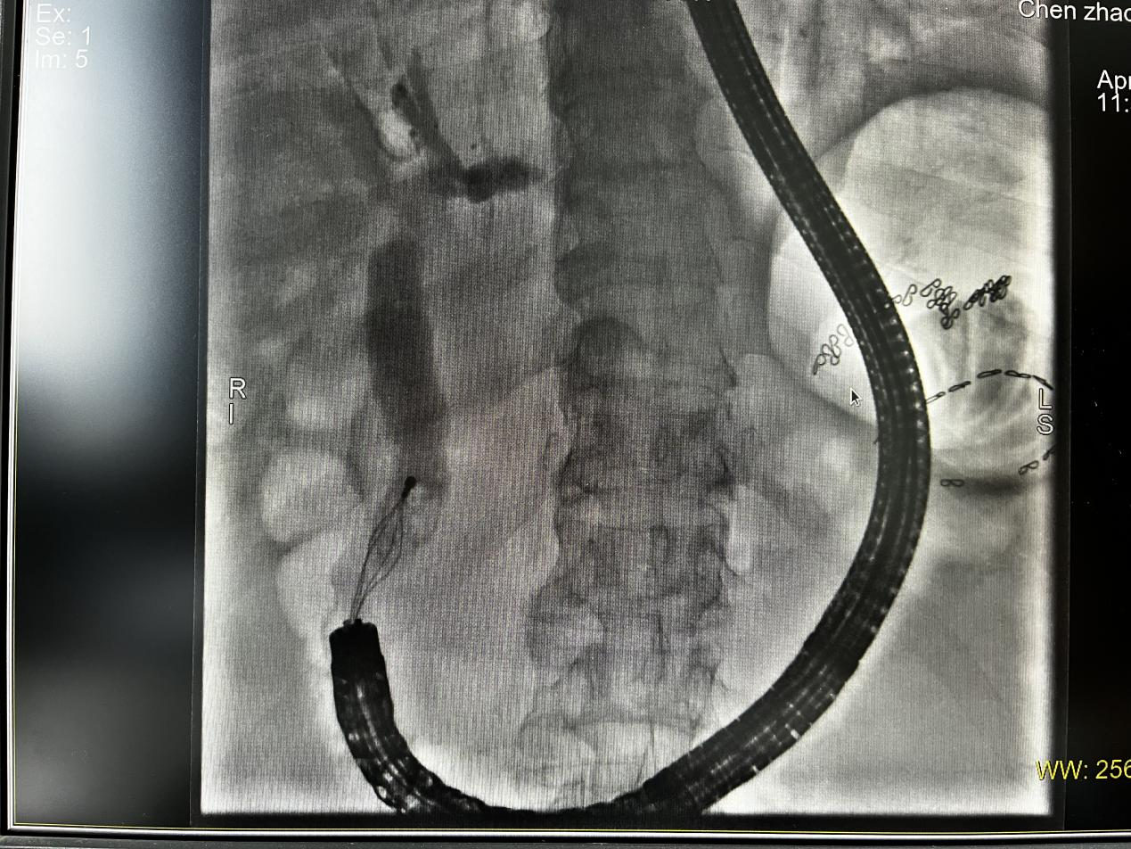 图片1.png 图片1.png